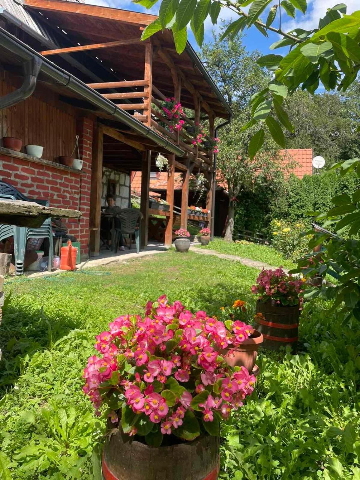 Dedina Kuca 1937 Apartamento Mokra Gora Exterior foto
